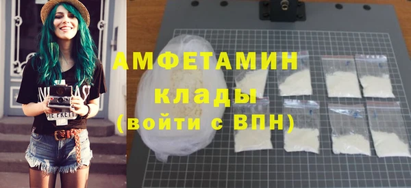 шишки Богородицк