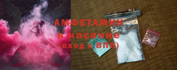 шишки Богородицк