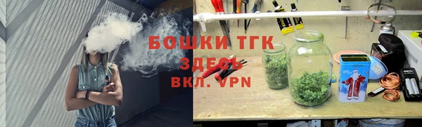 метадон Богданович