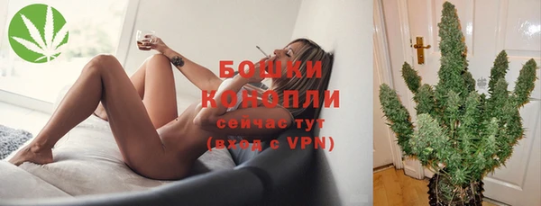 метадон Богданович