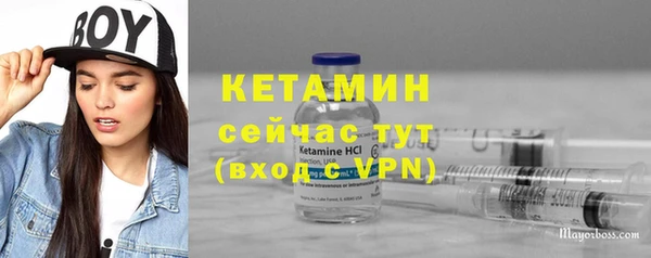 шишки Богородицк