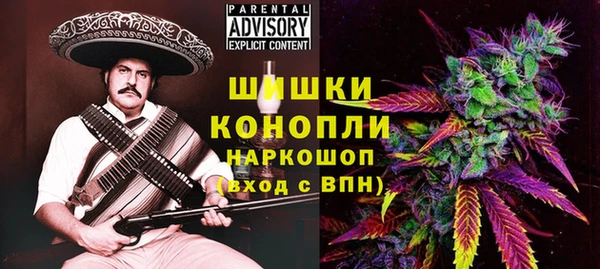 шишки Богородицк
