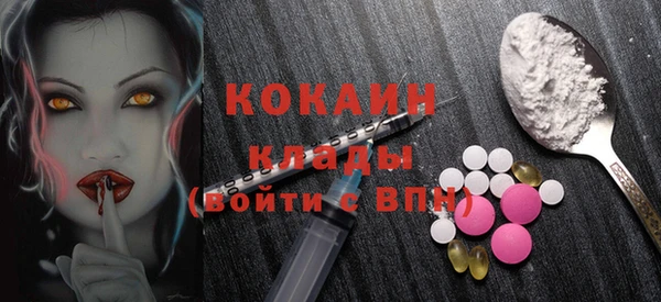 шишки Богородицк