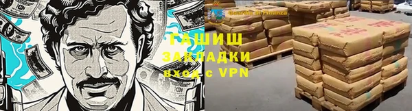 метадон Богданович