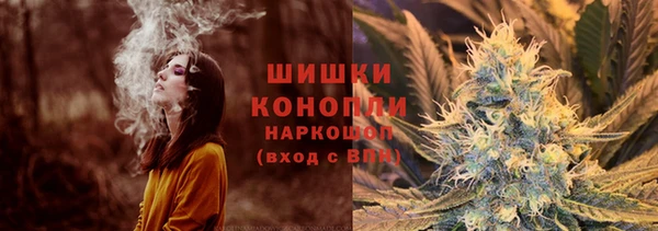 шишки Богородицк