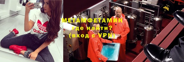 шишки Богородицк