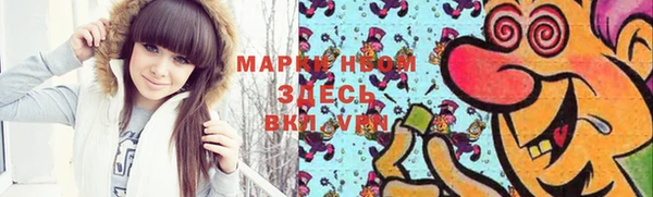 шишки Богородицк