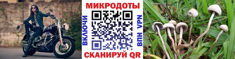 как найти закладки  Долинск  Галлюциногенные грибы ЛСД 